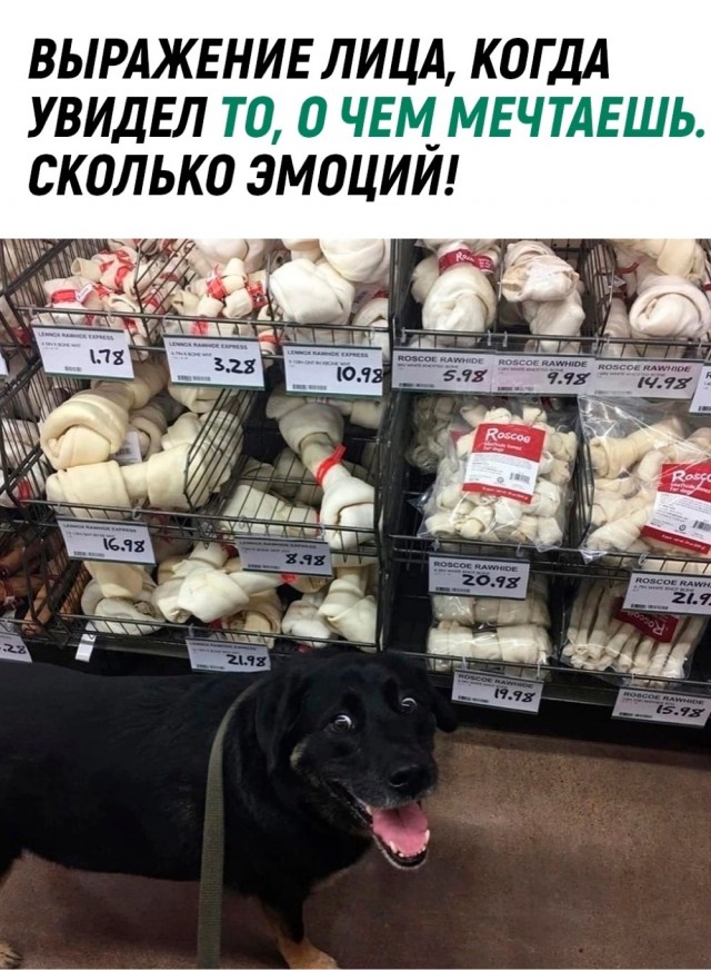 Немного картинок для настроения