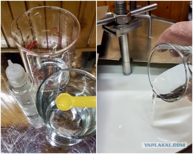 Сыр Маасдам