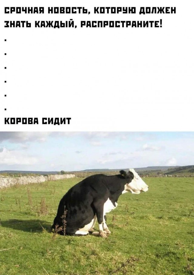 Внимание, внимание! Шок! Сенсация!