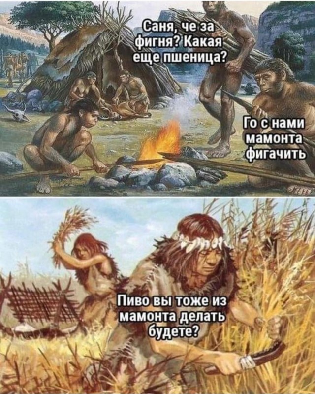 Отряд быстрого деградирования