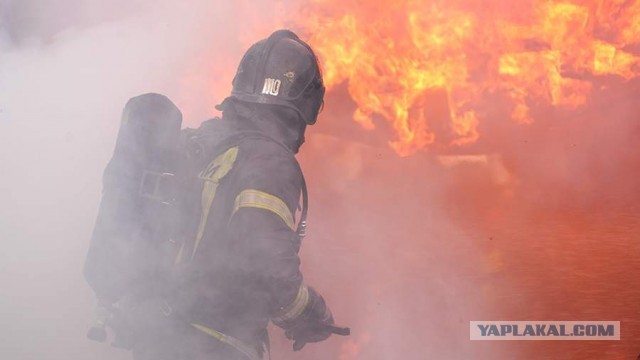 Два спиртзавода в Тульской области повреждены из-за атаки БПЛА