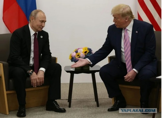 Дональд Трамп и Владимир Путин провели телефонный разговор и обсудили возможное прекращение войны на Украине