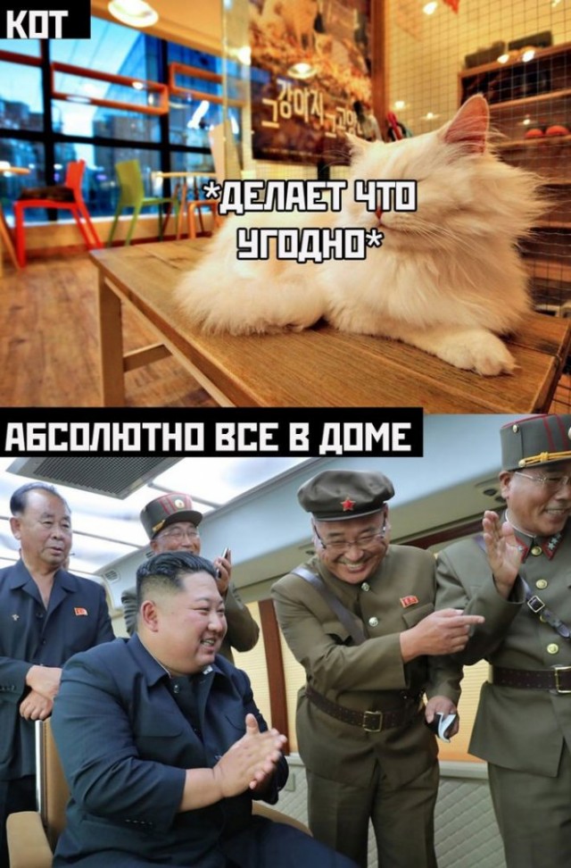 Веселые картинки в среду, практически пятницу 30.04