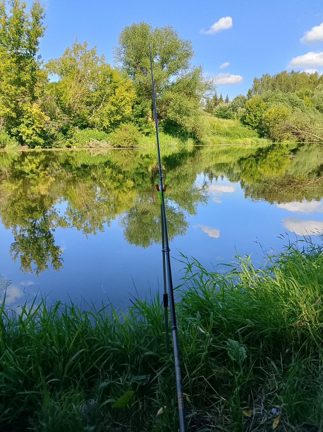 Немного порыбалил вчера