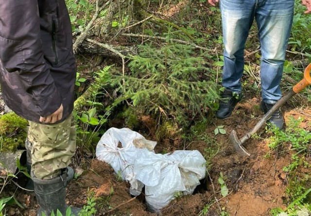 Гигантскую 60-килограммовую закладку нашли в лесу под Питером