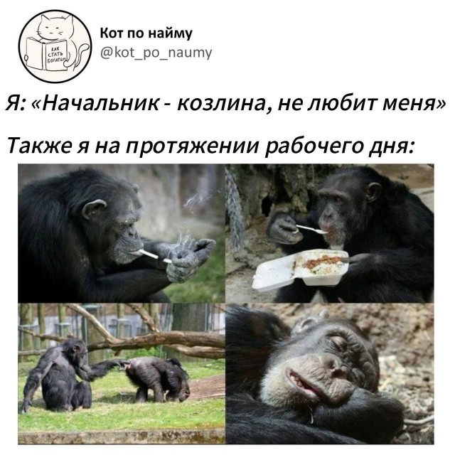 Немного картинкафф для настроения (баяны-перебаяны)