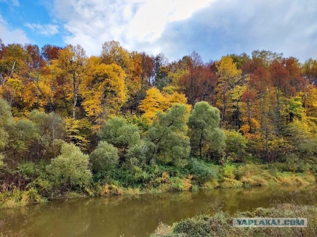 Бабье лето в Подмосковье: Готовьте шашлыки, пока термометр не взвыл от жары!