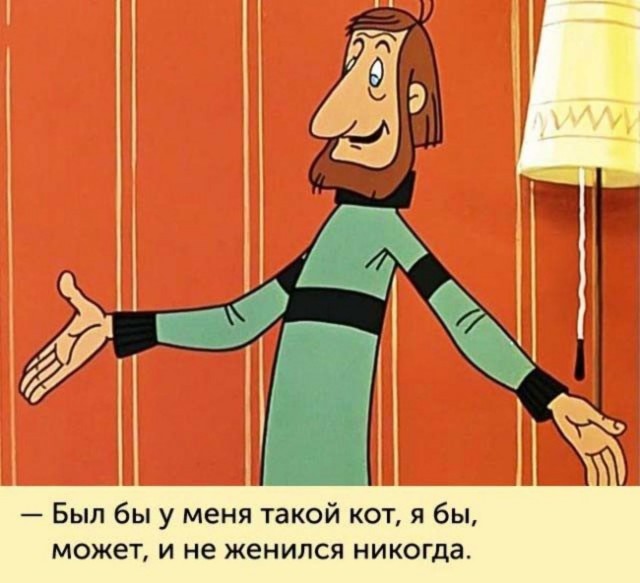 Купили котёнка, теперь прогнать не можем!