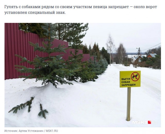И снова Лариса Долина
