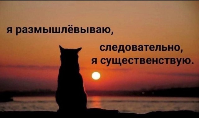 Воскресные картинки