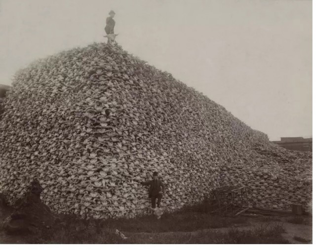 Редкие кадры и архивные снимки 29.04.26