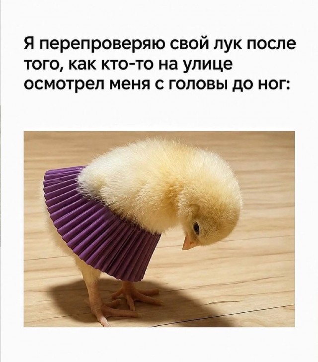 Картинки для деградации 220 (разной степени свежести)