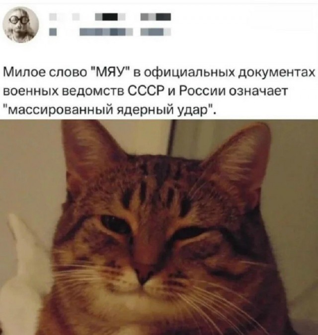Так себе картинки 16.07.26