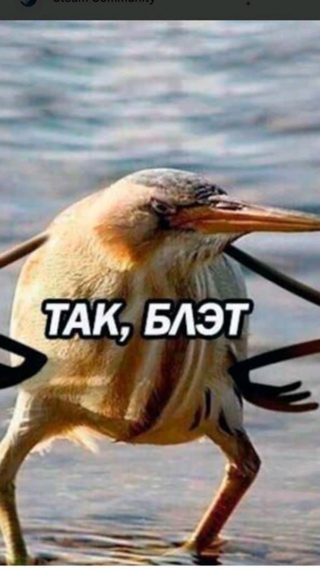 Прикольный шарик