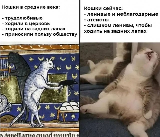 Страдающее средневековье к среде