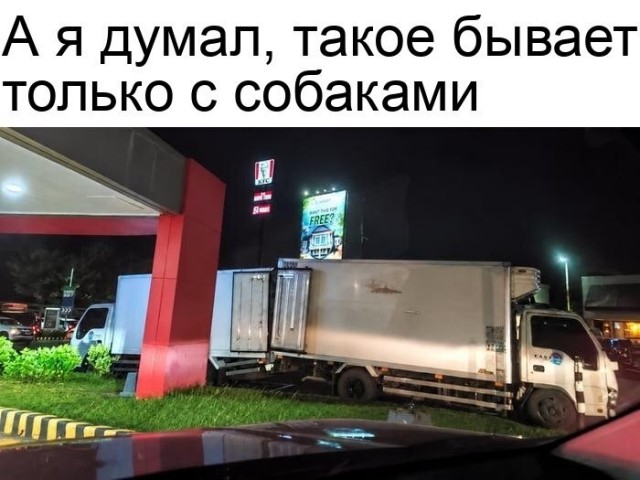 Картинки для деградации 308 (разной степени свежести)