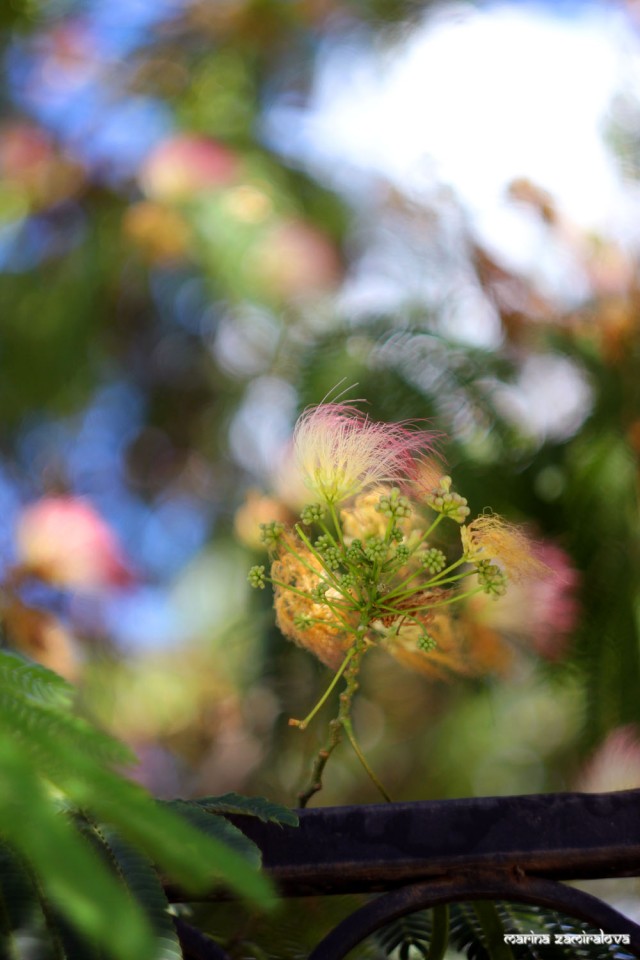 Крым: Судак и окрестности