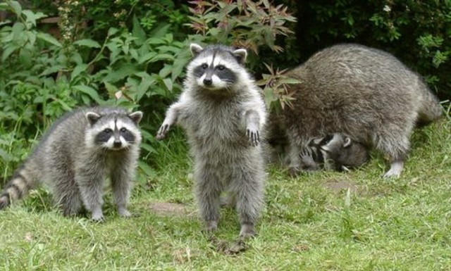 удалить! тест !