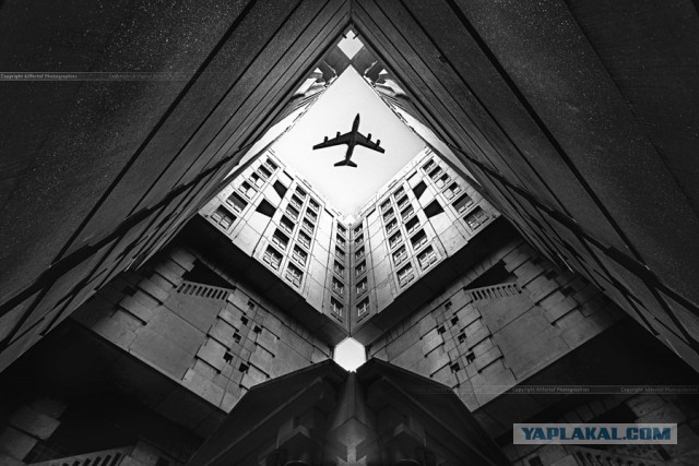 Потрясающие удачные кадры