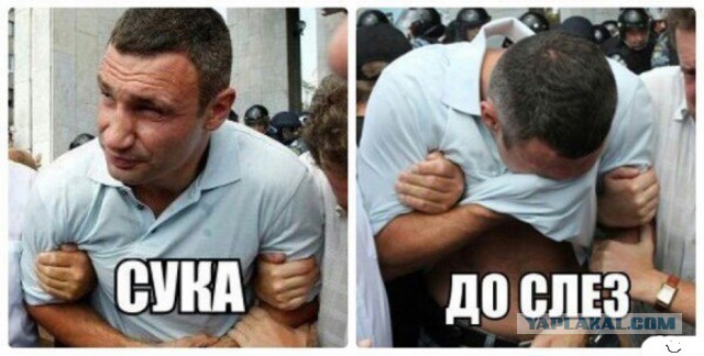 Полные девушки устроили флешмоб после слов Собчак