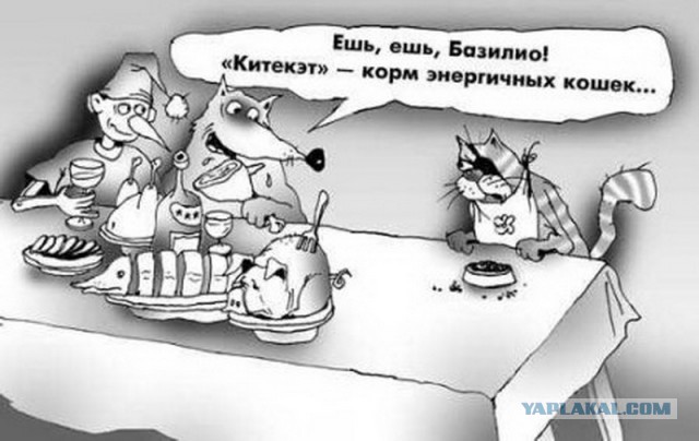 Злые шутки или минутка сарказма на ЯП-е, 16+