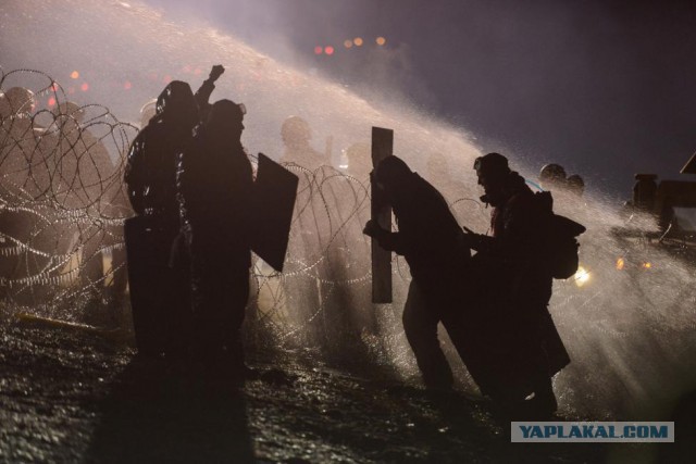 Главные фотографии года по версии Reuters