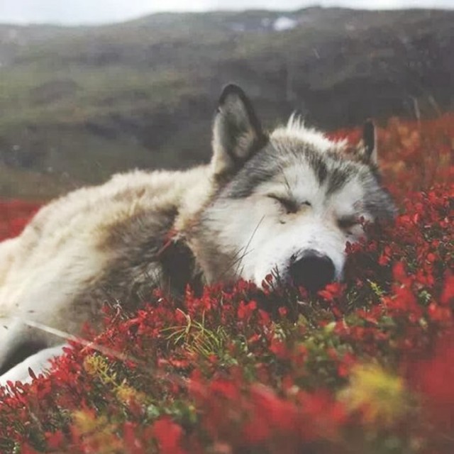 Подборка фотографий.