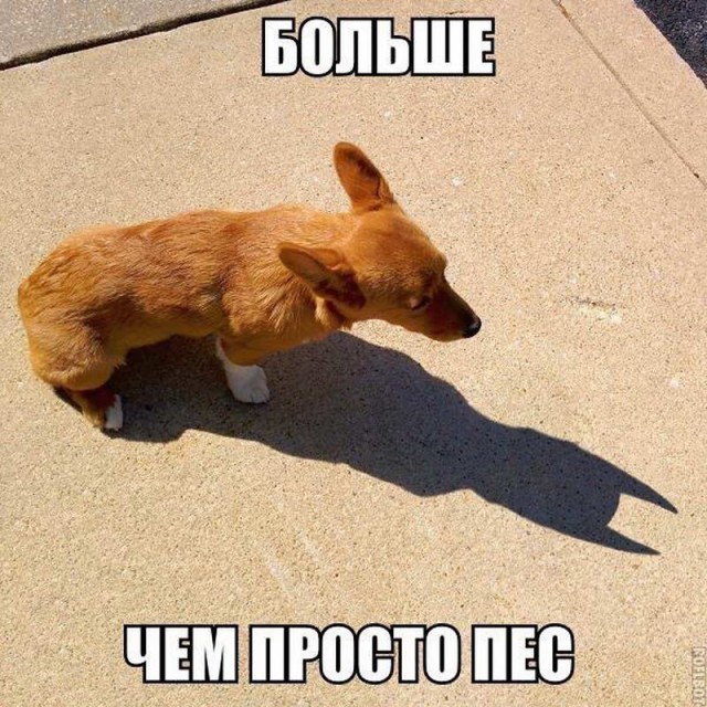 Подборка интересных и веселых картинок
