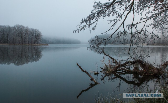 Недавно купил фотоаппарат! Хочу похвастаться!