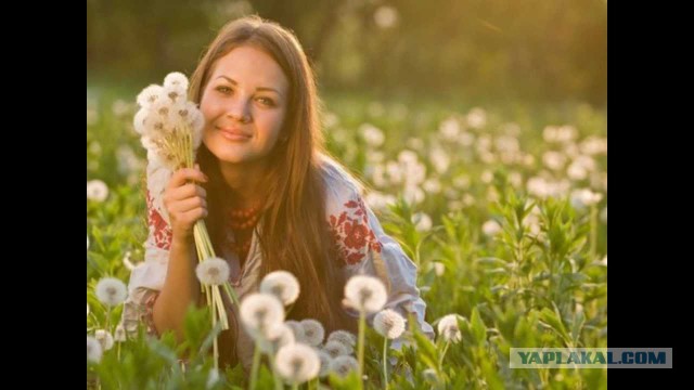 Да вы ничего не понимаете в настоящей красоте!