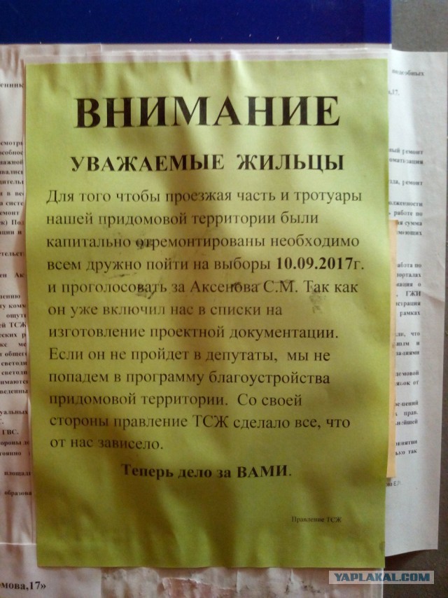 Почему надо ходить на все выборы