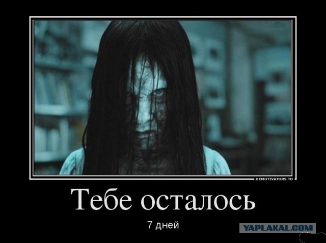 Жена спалила