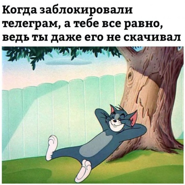 "Ну, погоди!" как специально под РКН создавали