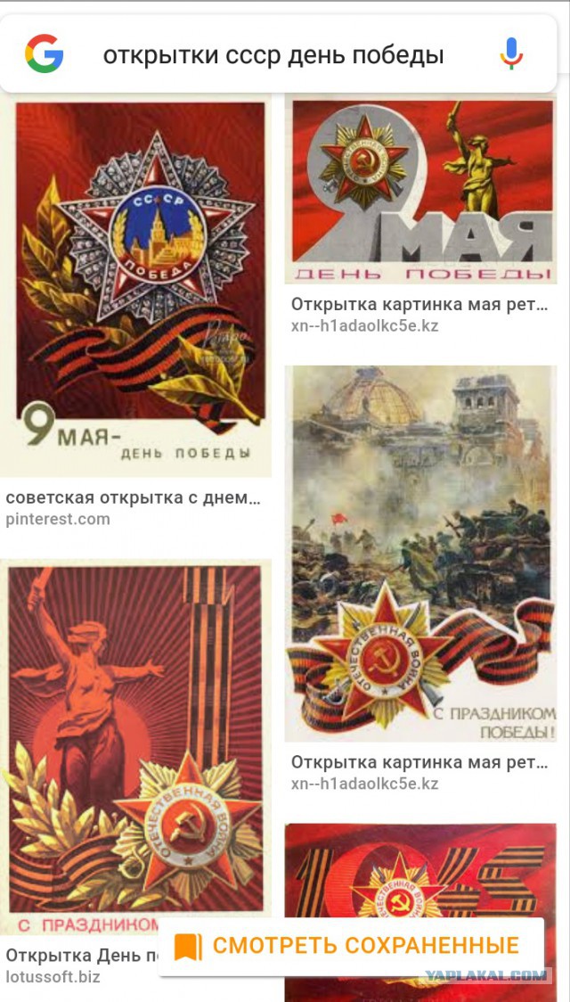 Невзоров беснуется
