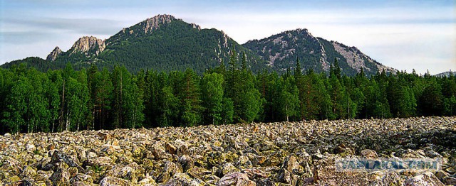 Фотографии из походов