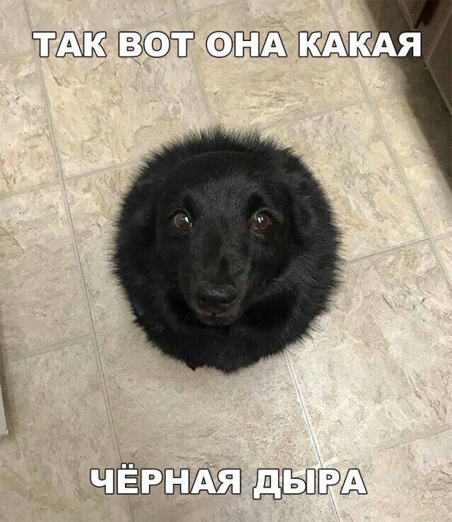 Прикалюхи