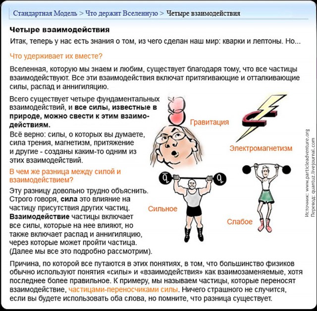 Физика: Стандартная Модель