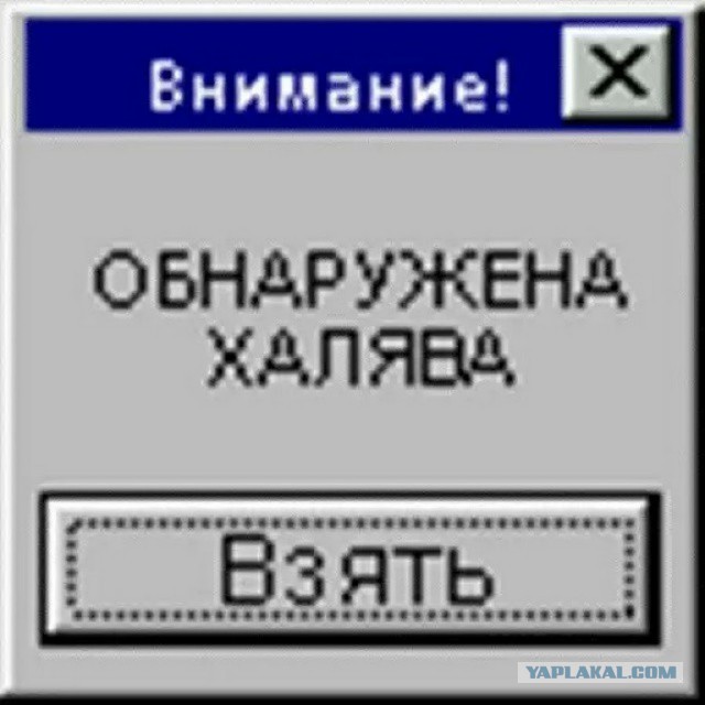 Водитель правительственного авто на заправке