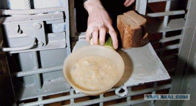 Дров не дали. Как жить бедному крестьянину?