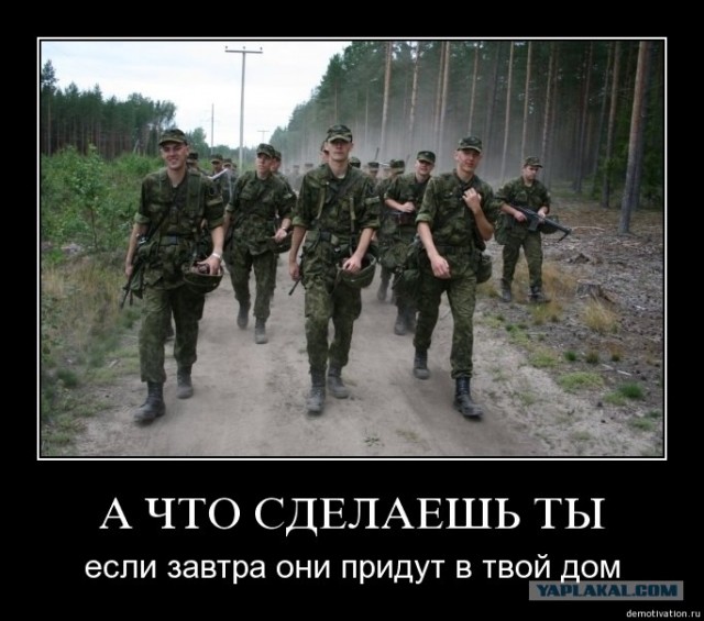 Человек, который живет в лесу и делает сайты.