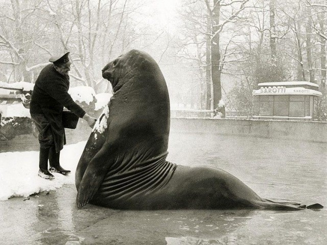 Интересные и редкие ретро-фотографии