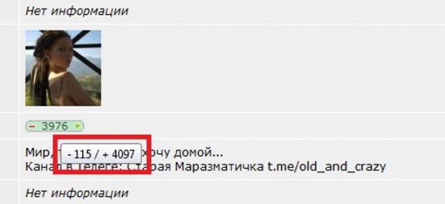 Мартышка и Маркиз