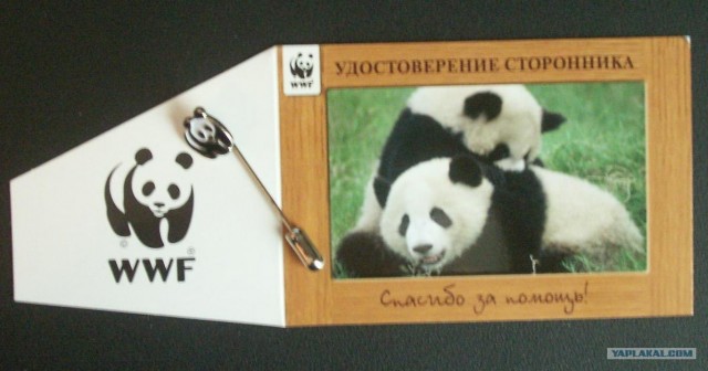 Основа основ