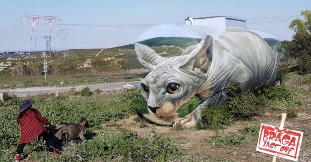 Французский художник превратил старую цистерну в кота