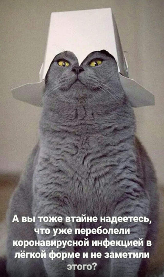 Перлы - 04.05.20