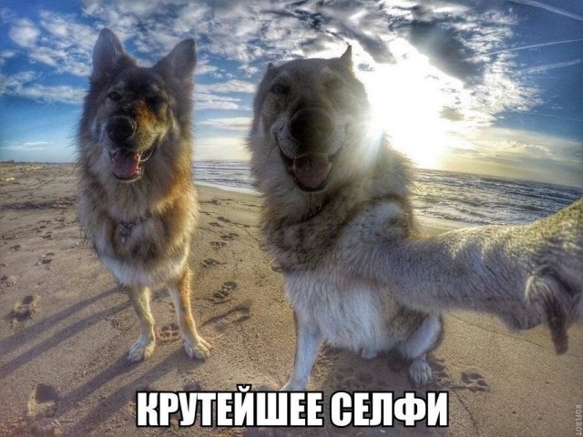 Здорово и Вечно