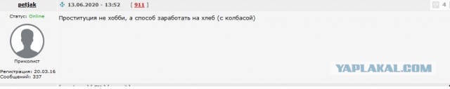 Поддержка путина