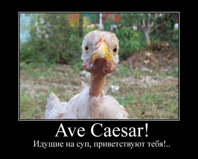 Фотожаба: Цыпа