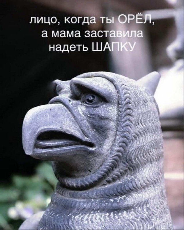 Юмор в картинках 2.11.20