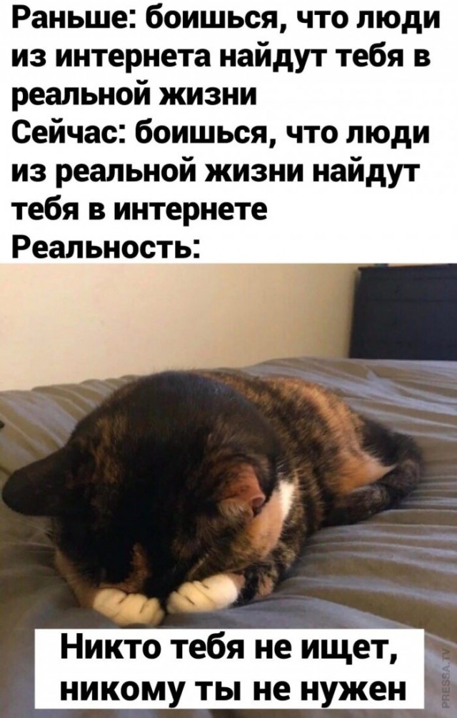 Бредзона 08.12.2020